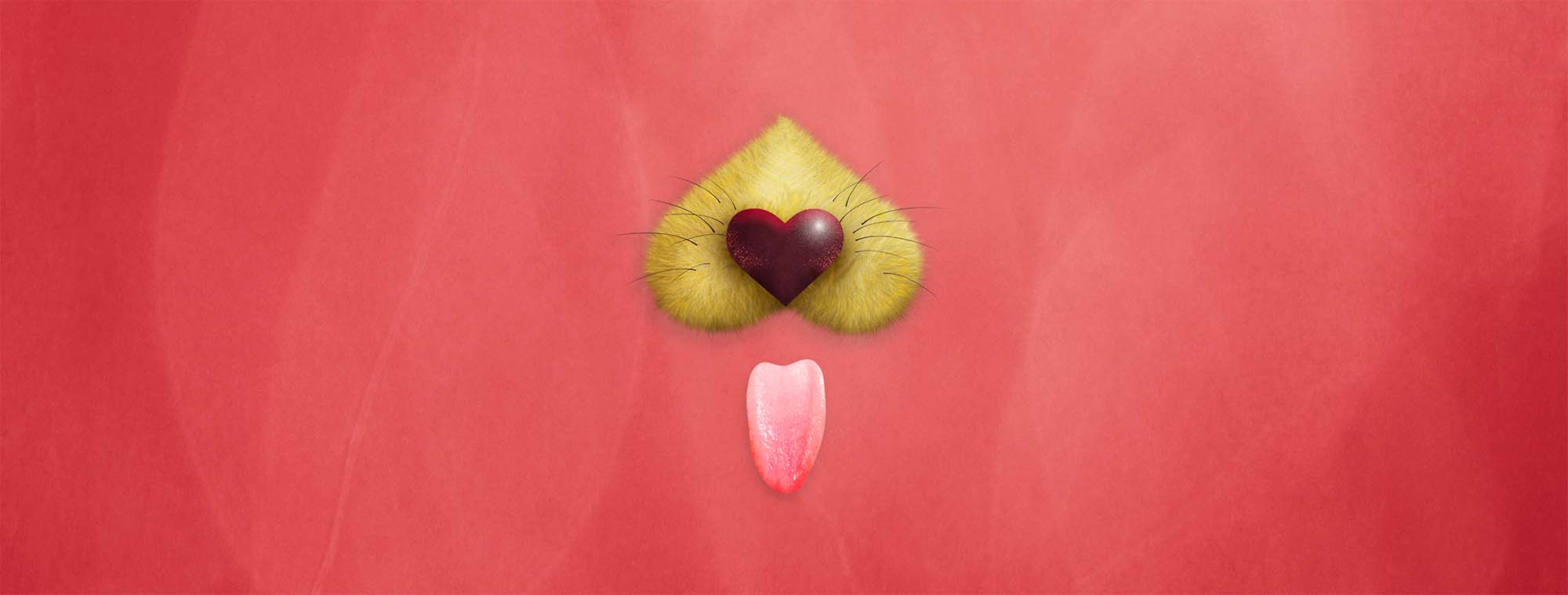 sylvia dog nose and tongue