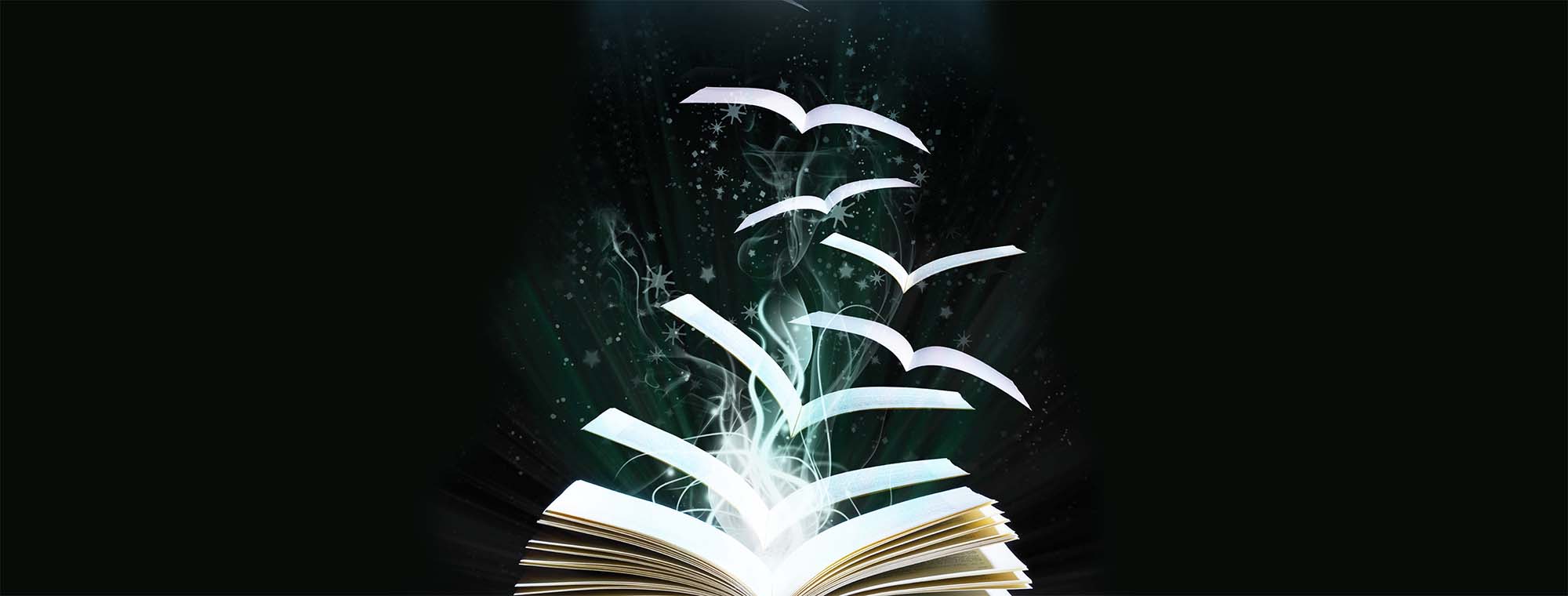 a book with the pages flying