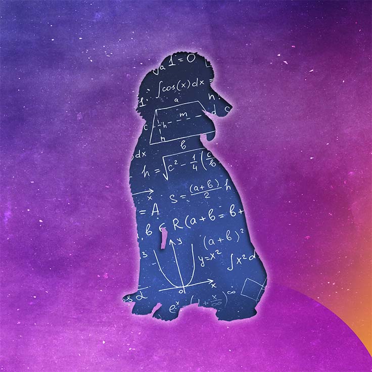 A purple background filled with stars and the silhouette of a dog with mathematical equations written within its outline within a darker blue background.