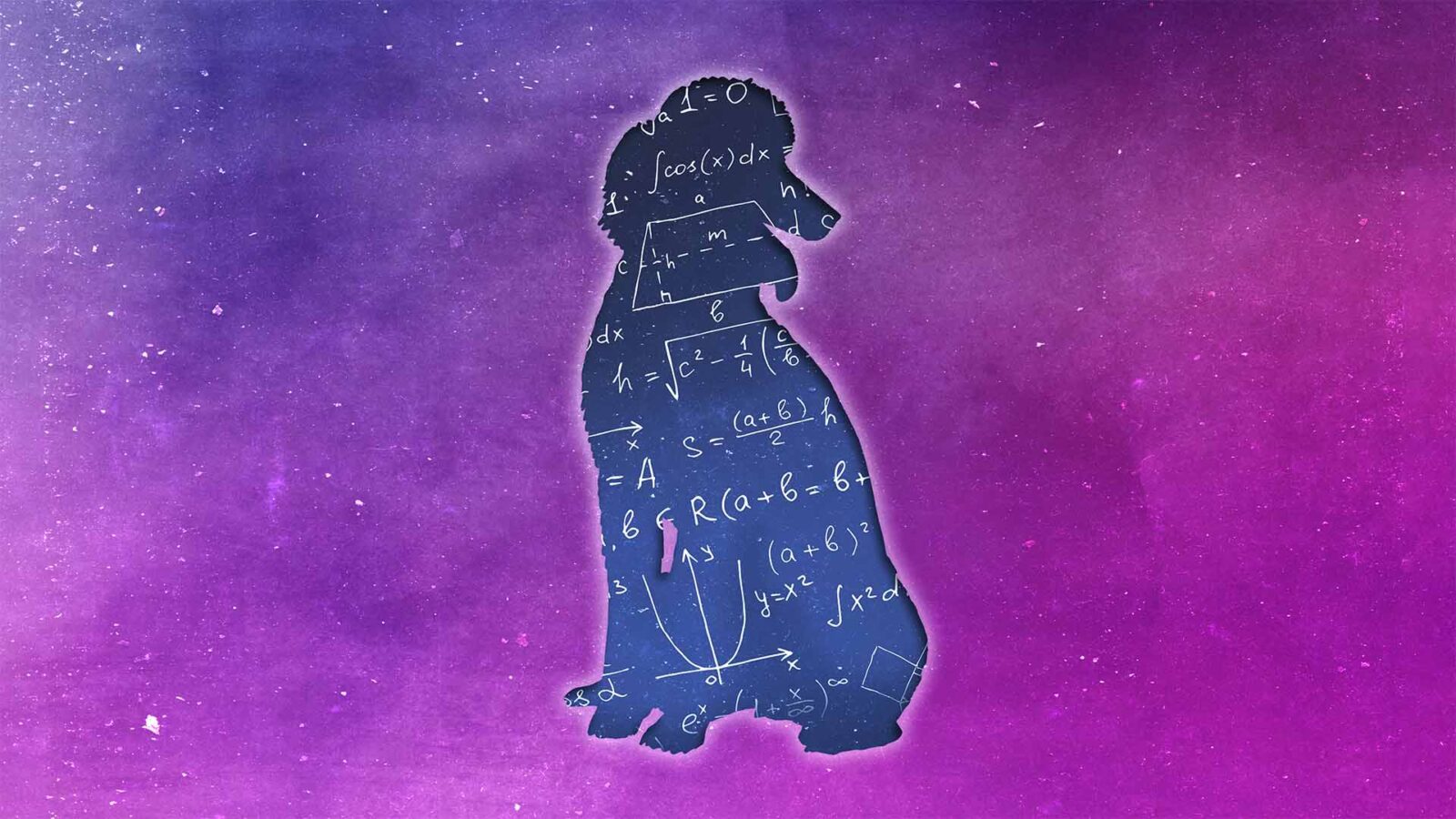 A purple background filled with stars and the silhouette of a dog with mathematical equations written within its outline within a darker blue background.