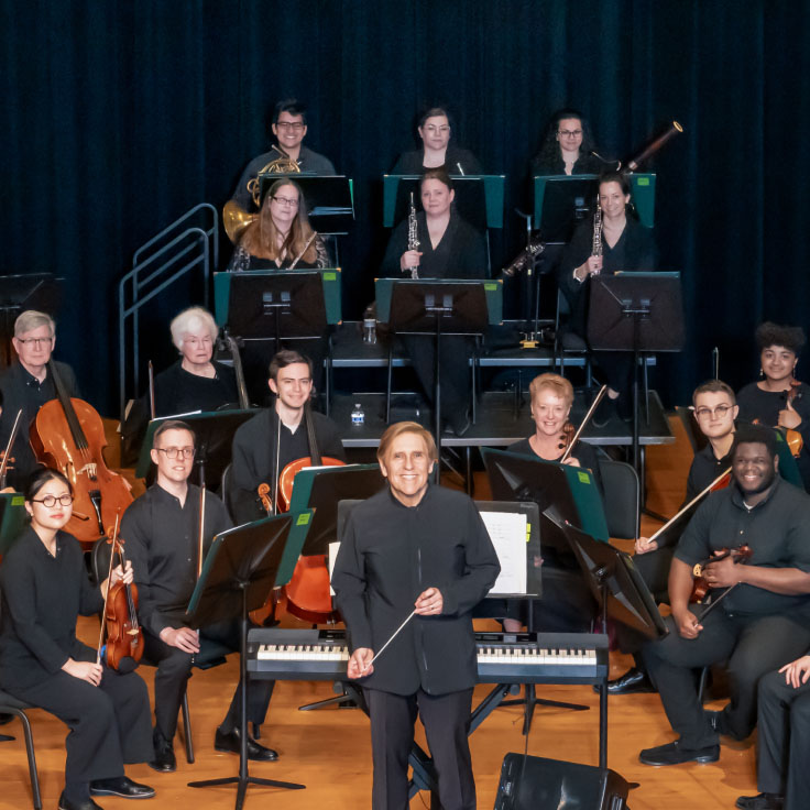 An orchestra on stage with a conductor in the front