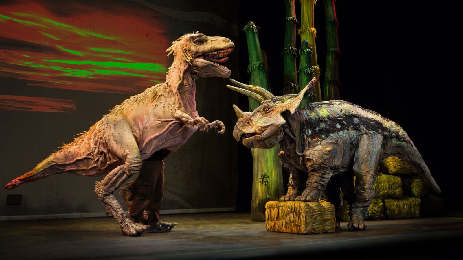 Two large, realistic dinosaur puppets are on stage, engaging in a lifelike performance. The dinosaur on the left resembles a T-Rex with its mouth open, displaying sharp teeth, and a textured, rugged skin. The dinosaur on the right resembles a Triceratops with three prominent horns and a detailed, patterned hide. The background features tall, green plants, and the setting sun casts a reddish glow, enhancing the prehistoric atmosphere. The puppeteers operating the dinosaurs are partially visible, blending into the performance to create an immersive experience.