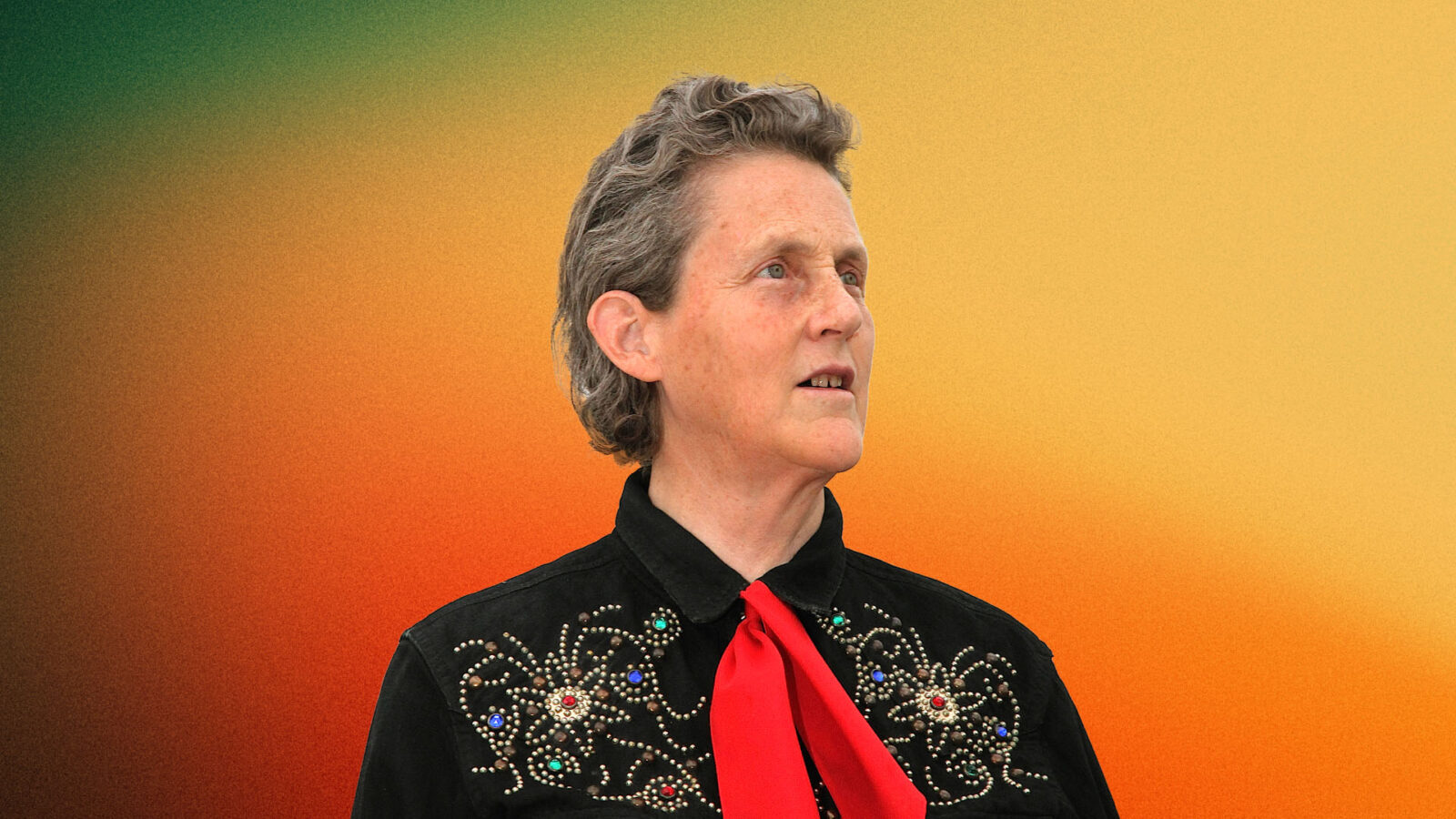 Portrait of Temple Grandin, renowned scientist and autism advocate, wearing a black Western-style shirt with intricate beaded designs and a red necktie. She has short, wavy grey hair and is looking off to the side, standing against a gradient background transitioning from green to orange.