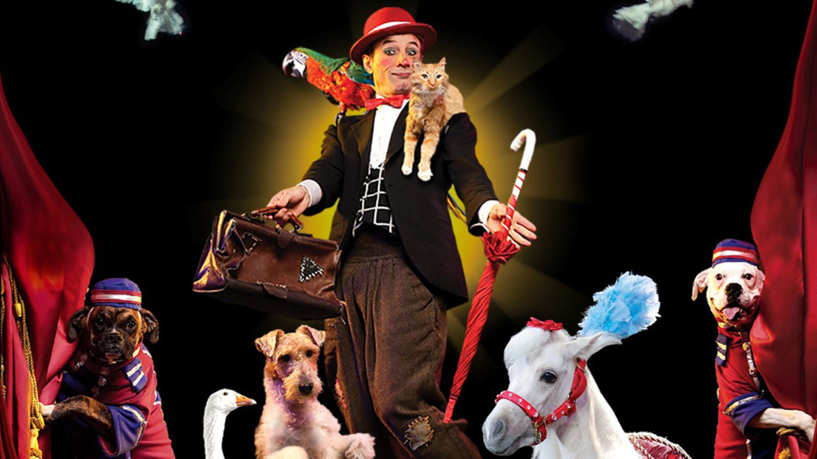 A vibrant circus scene featuring a performer in a red hat, balancing a parrot on one shoulder and holding an umbrella, while a cat rests on the other shoulder. Surrounding the performer are various animals, including dogs and a decorated miniature pony, all dressed in colorful circus attire.