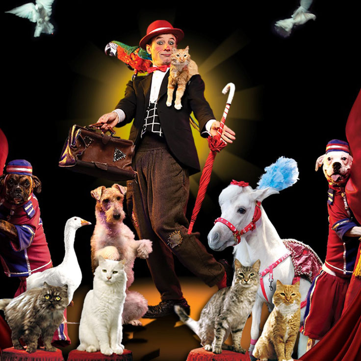 A vibrant circus scene featuring a performer in a red hat, balancing a parrot on one shoulder and holding an umbrella, while a cat rests on the other shoulder. Surrounding the performer are various animals, including dogs and a decorated miniature pony, all dressed in colorful circus attire.